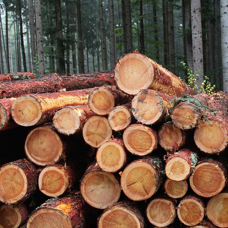 Themenseiten holzhandel-engstingen.de